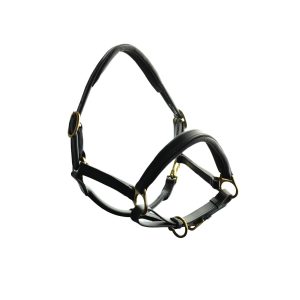 Ascot Quality Leather Padded Head Collar with Solid Brass fittings