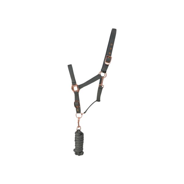 Hy Equestrian Rose Gold Head Collar & Lead Rope