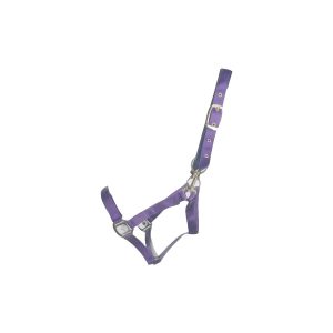 HY Fieldsafe Headcollar - Purple