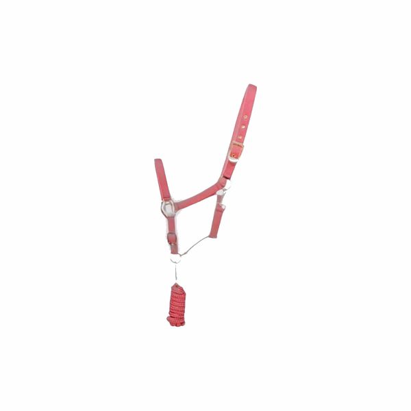 Hy Equestrian Rose Gold Head Collar & Lead Rope - Blush Pink