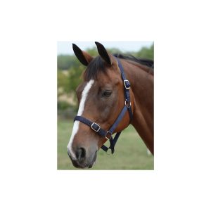 Roma Nylon Halter with Adjustable Nose and Crown & Lead Set Navy