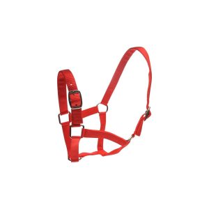 Roma Nylon Halter with Adjustable Nose and Crown & Lead Set Red